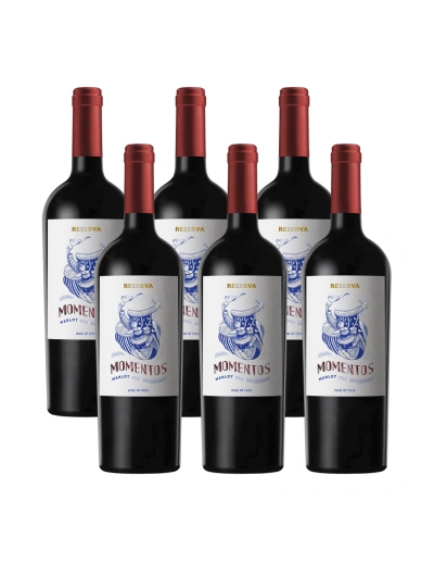 Pack 6 Merlot, Reserva, Momentos. Chateau los boldos