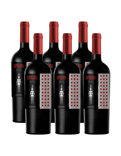 Pack 6 Carmenere, Máscara de Fuego, Chateau los boldos