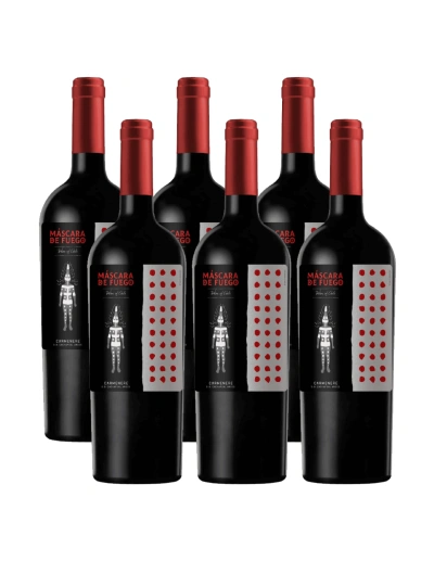Pack 6 Carmenere, Máscara de Fuego, Chateau los boldos