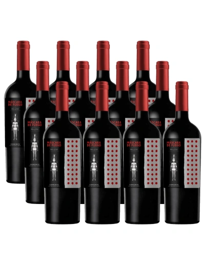 Pack 12 Carmenere, Máscara de Fuego, Chateau los boldos