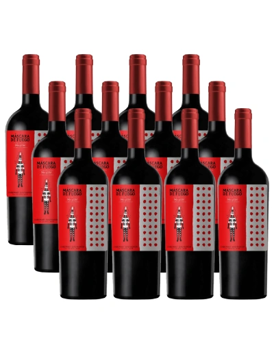 Pack 12 Cabernet Sauvignon, Máscara de Fuego, Chateau los boldos