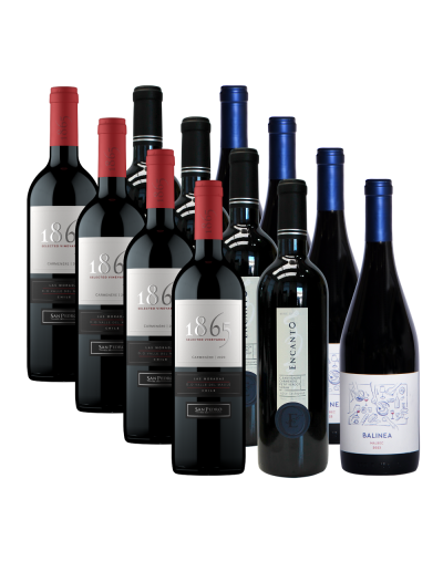 Pack 12 Mix Tradición e Innovación