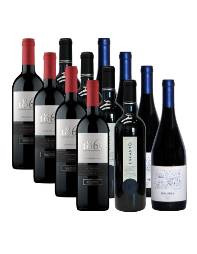 Pack 12 Mix Tradición e Innovación