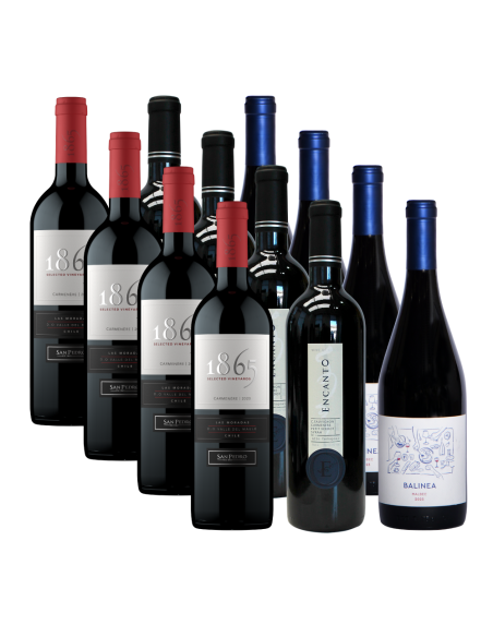 Pack 12 Mix Tradición e Innovación