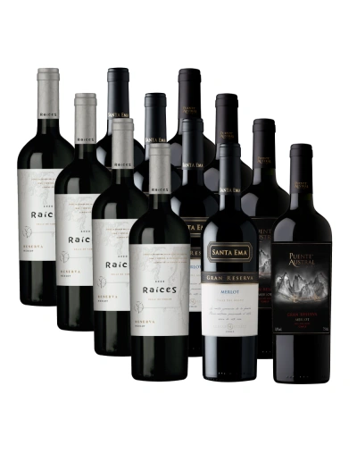 Pack 12 Mix Descubre Merlot
