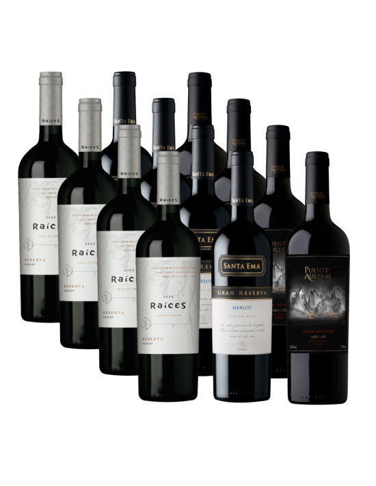 Pack 12 Mix Descubre Merlot