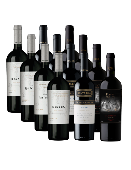 Pack 12 Mix Descubre Merlot