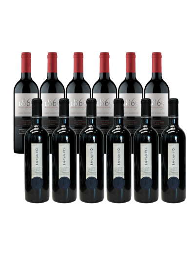 Pack 12 Mix Asegurado