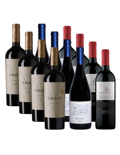 Pack 12 Mix Grandes y Chicos, Vinos en Oferta!