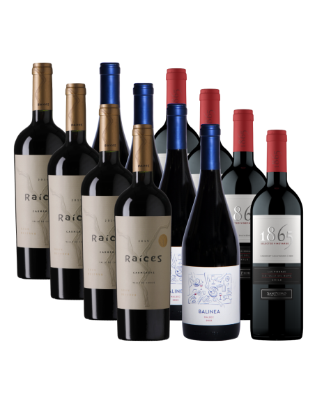 Pack 12 Mix Grandes y Chicos, Vinos en Oferta!