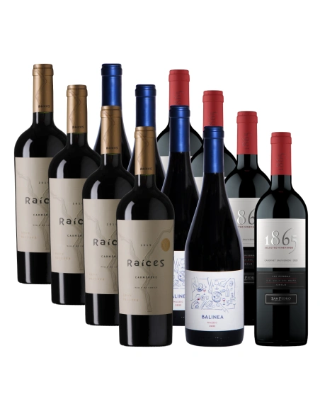 Pack 12 Mix Grandes y Chicos, Vinos en Oferta!