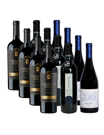 Pack 12 Mix de Exportación