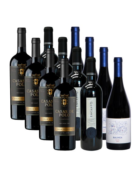 Pack 12 Mix de Exportación