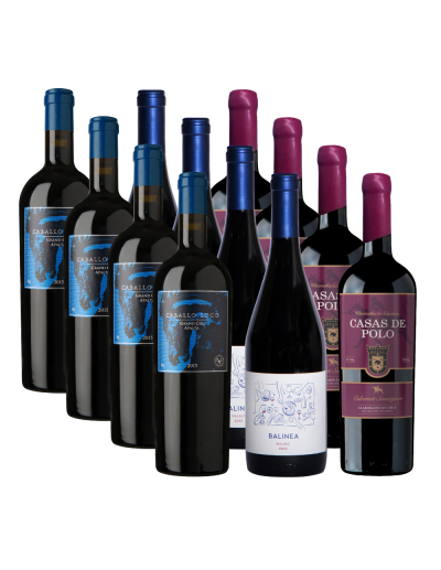 Pack 12 Mix Caballo Loco Apalta, Balinea y Casas de Polo WMS