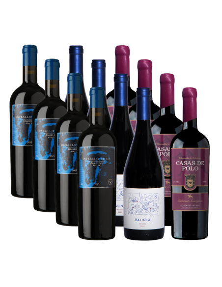 Pack 12 Mix Caballo Loco Apalta, Balinea y Casas de Polo WMS