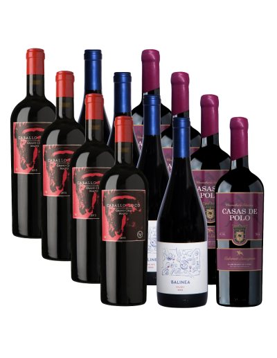 Pack 12 Mix Caballo Maipo, Balinea y Casas de Polo WMS