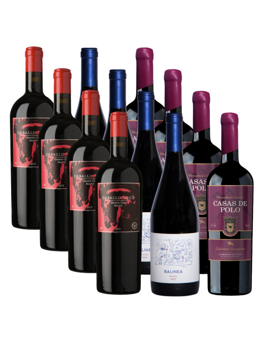 Pack 12 Mix Caballo Maipo, Balinea y Casas de Polo WMS