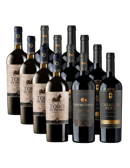 Pack 12 Mix Casas y toros vinos en oferta!