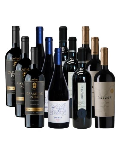 Pack 12 Mix Best Value