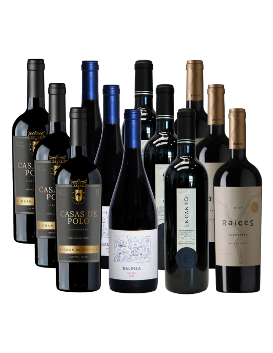 Pack 12 Mix Best Value