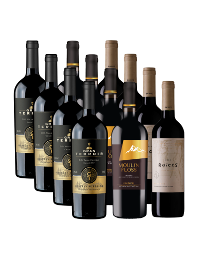 Pack 12 Mix Gran Terroir, Moulin y Pitras Reserva en Oferta!