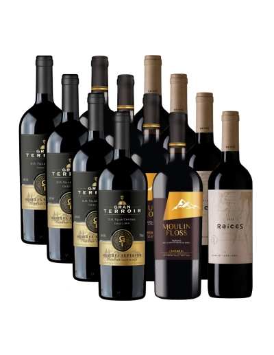 Pack 12 Mix Gran Terroir, Moulin y Pitras Reserva en Oferta!