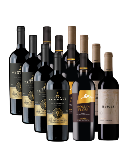 Pack 12 Mix Gran Terroir, Moulin y Pitras Reserva en Oferta!