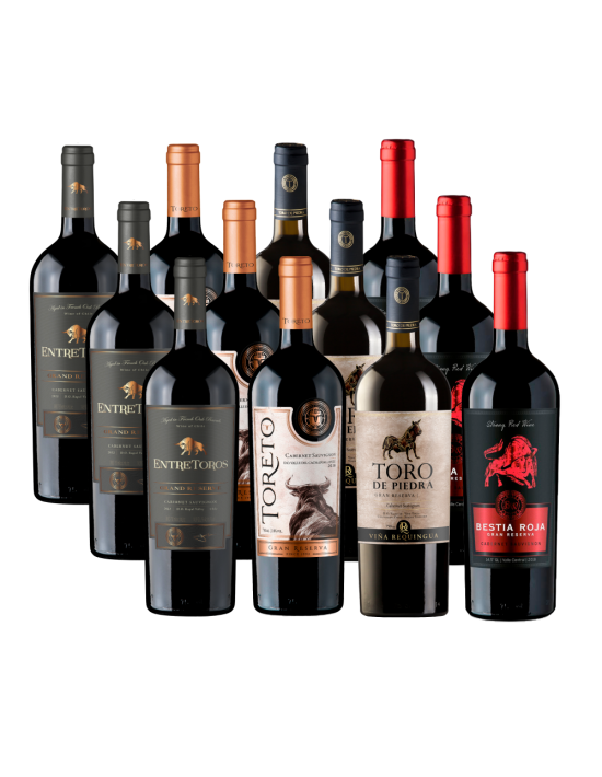 Pack 12 Mix Distintos Toros