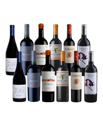 Pack 12 Mix Descubre Malbec