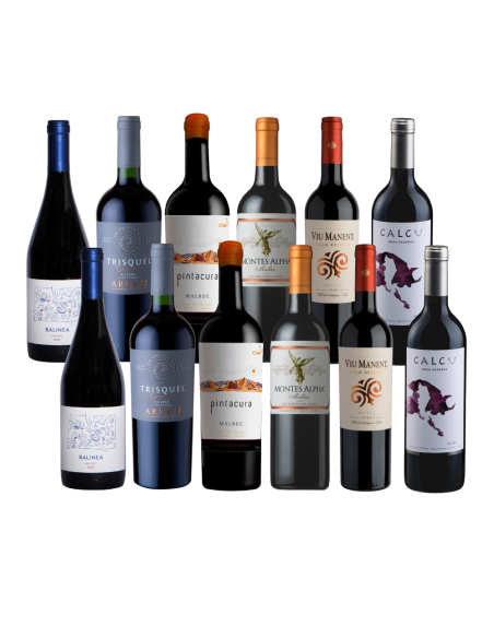 Pack 12 Mix Descubre Malbec