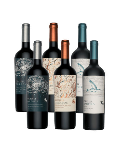 Pack mix 6 vinos Odfjell Cabernet suvignon