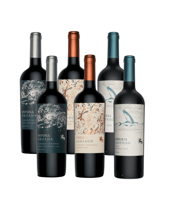 Pack mix 6 vinos Odfjell Cabernet suvignon