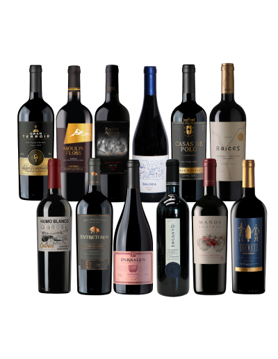 Pack 12 Mix Descubre vinos especiales