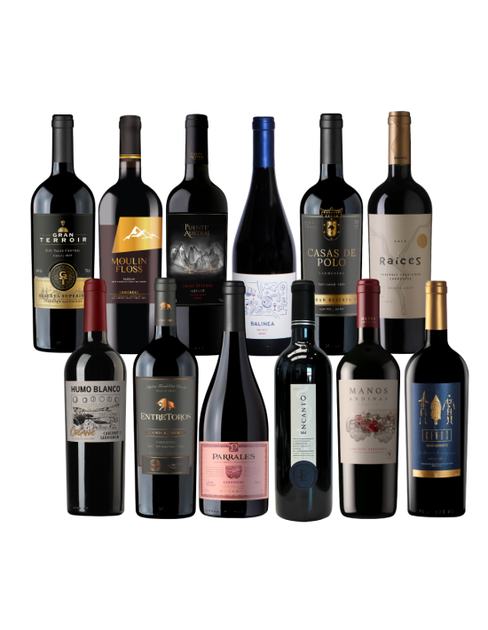 Pack 12 Mix Descubre vinos especiales