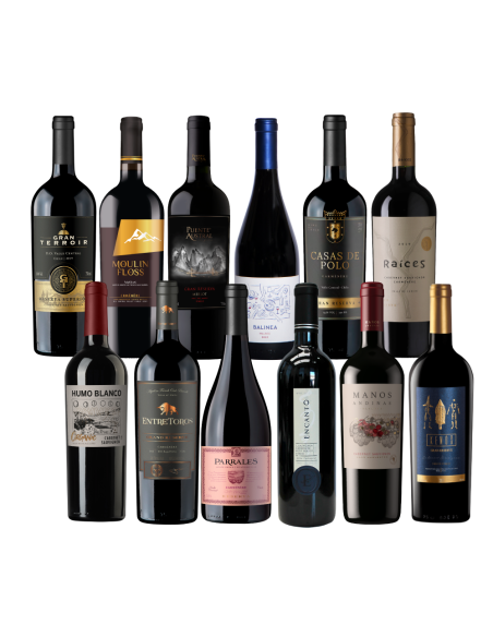 Pack 12 Mix Descubre vinos especiales