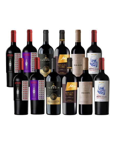 Pack 12 Mix Descubre Reserva