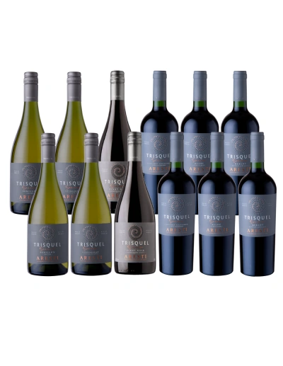 Pack Mix 12 Trisquel Series Premium de Viña Aresti