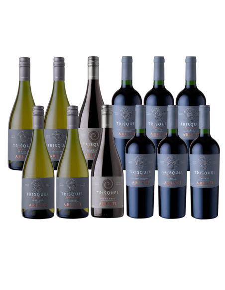Pack Mix 12 Trisquel Series Premium de Viña Aresti