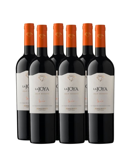 Pack 6 Merlot, Gran Reserva, La joya, bisquertt
