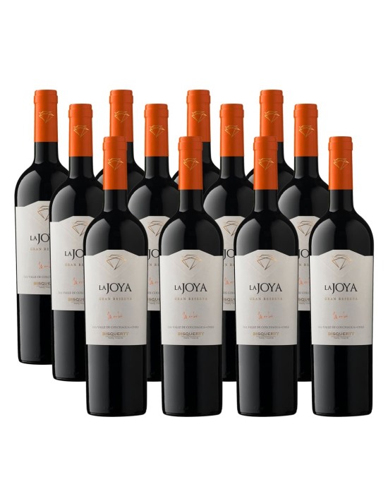 Pack 12 Merlot, Gran Reserva, La joya, bisquertt