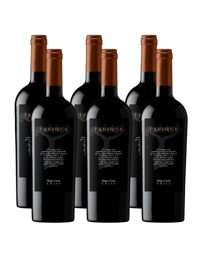 Pack 6 Blend, Icono, Tapihue, Quintay en Oferta!