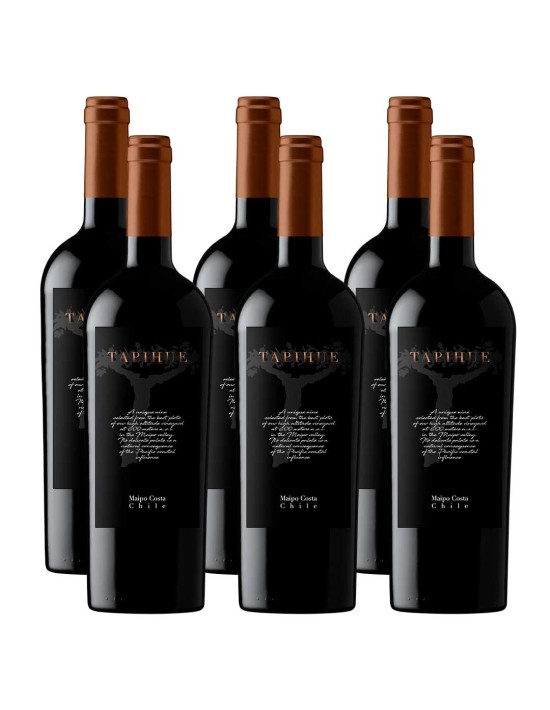 Pack 6 Blend, Icono, Tapihue, Quintay en Oferta!