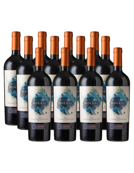 Pack 12 Ensamblaje, Premium, Sideral, Viña San Pedro