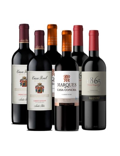 Pack 6 Vinos Premium, Carmenere, Las Tres Viñas Más Grandes de Chile