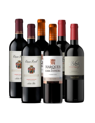 Pack 6 Vinos Premium, Carmenere, Las Tres Viñas Más Grandes de Chile