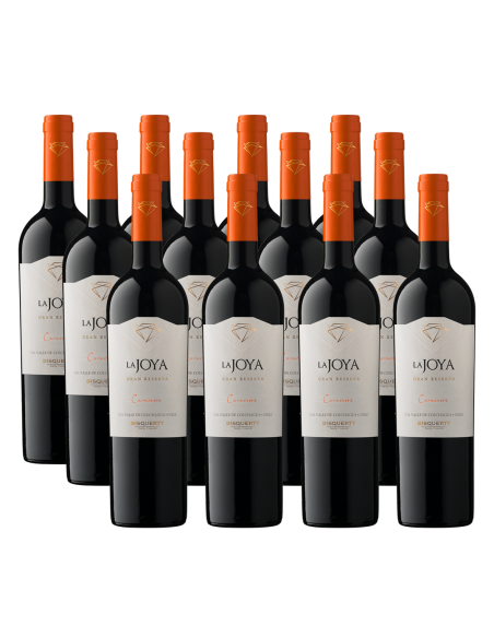 Pack 12 Cabernet Sauvignon, Gran Reserva, La joya, bisquertt
