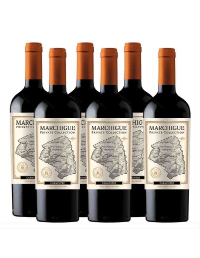 Carmenere, Icono, Marchigue Private Collection