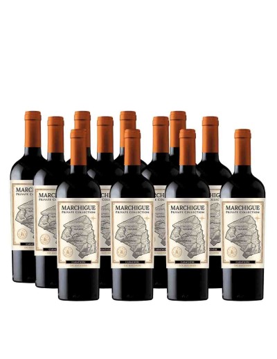 Pack 12 Carmenere, Icono, Marchigue Private Collection en oferta