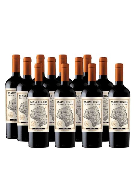 Pack 12 Carmenere, Icono, Marchigue Private Collection en oferta