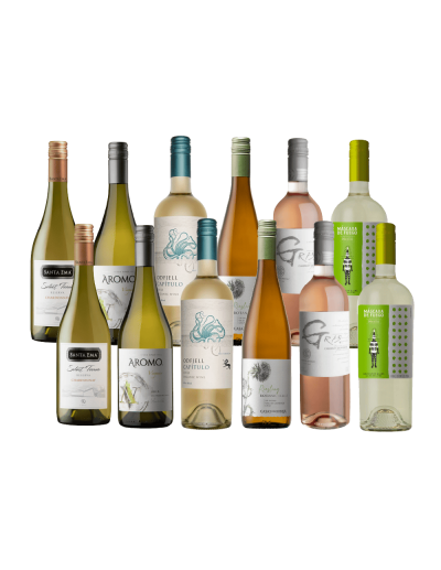 Pack 12 Descubre 12 Vinos Blancos